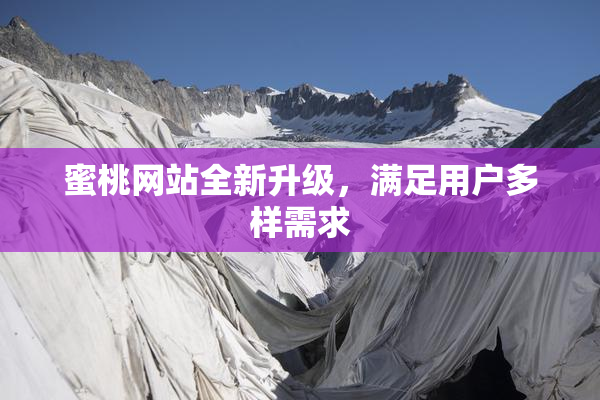 蜜桃网站全新升级，满足用户多样需求