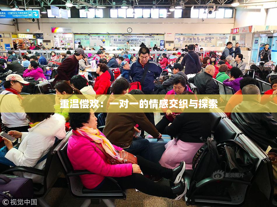 重温偿欢：一对一的情感交织与探索