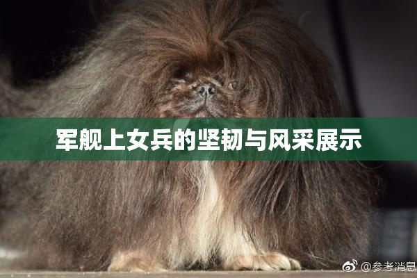 军舰上女兵的坚韧与风采展示