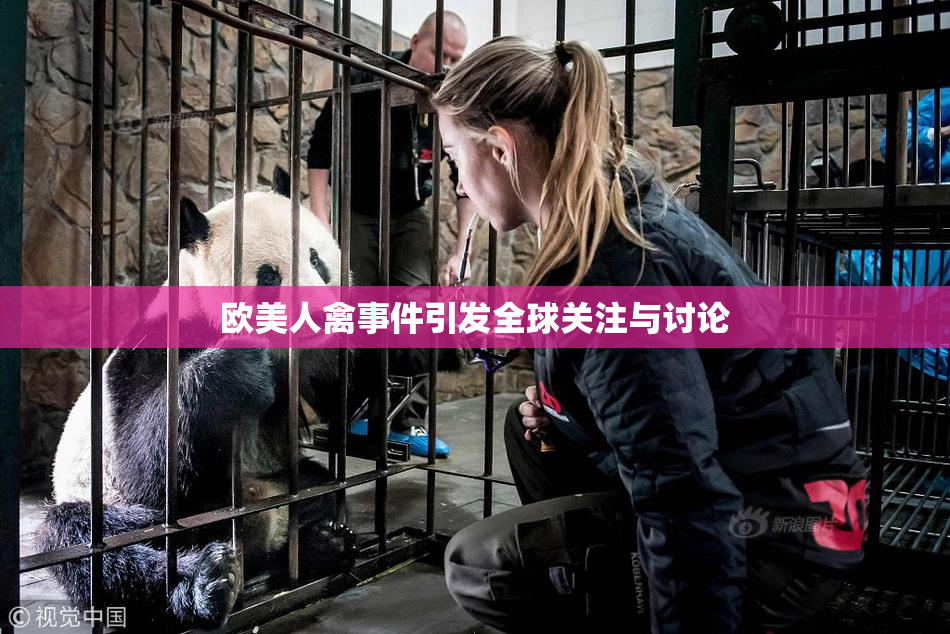 欧美人禽事件引发全球关注与讨论