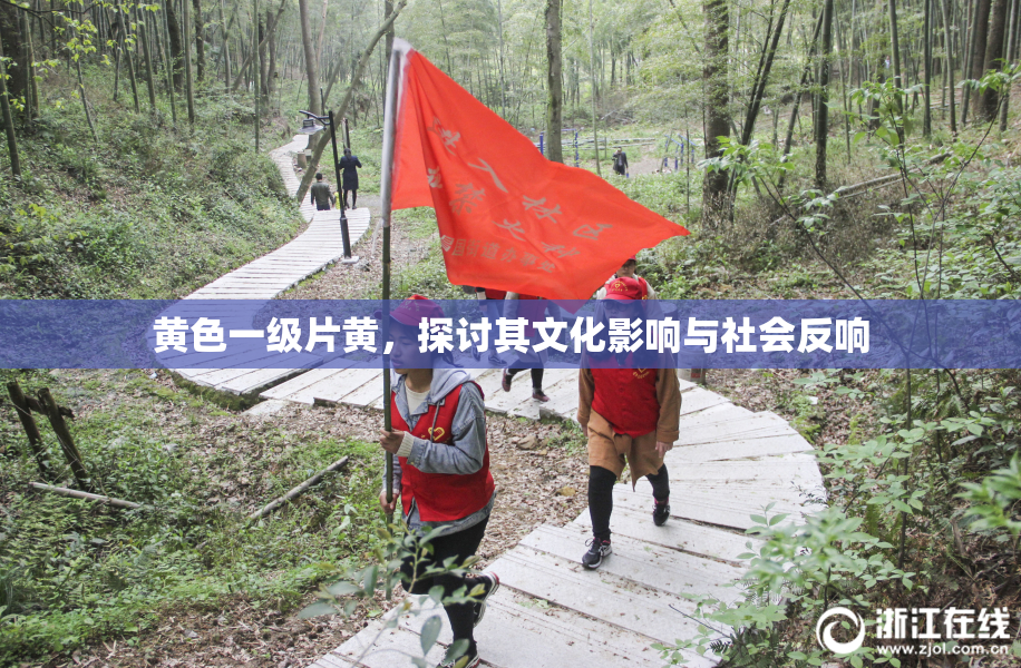 黄色一级片黄，探讨其文化影响与社会反响