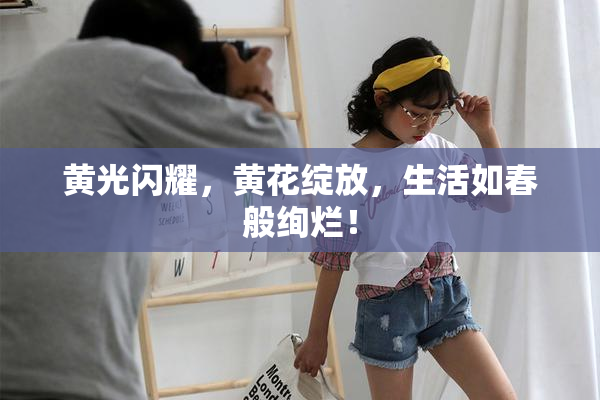 黄光闪耀，黄花绽放，生活如春般绚烂！