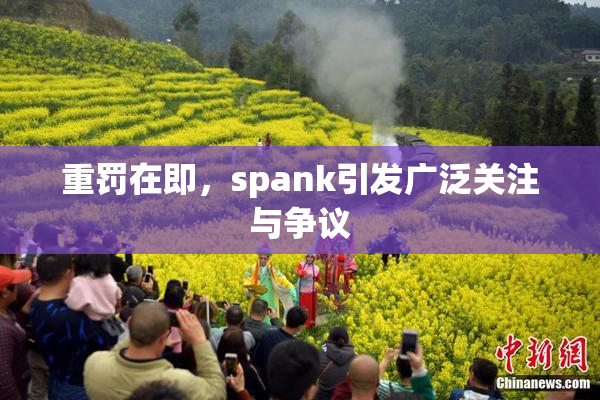 重罚在即，spank引发广泛关注与争议