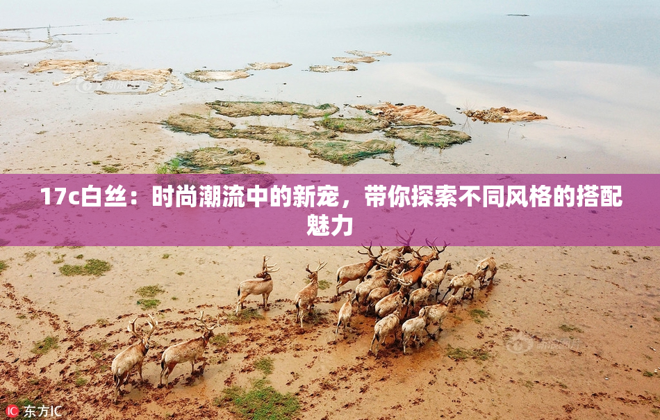 17c白丝：时尚潮流中的新宠，带你探索不同风格的搭配魅力