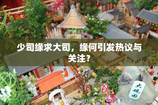 少司缘求大司，缘何引发热议与关注？