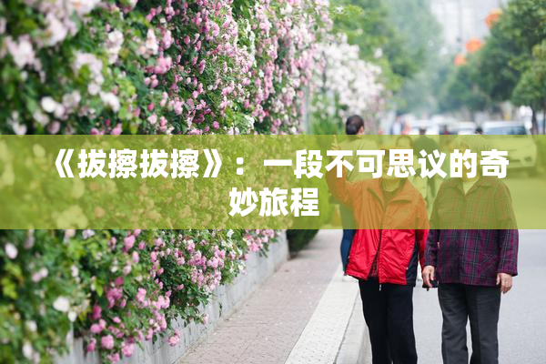 《拔擦拔擦》：一段不可思议的奇妙旅程