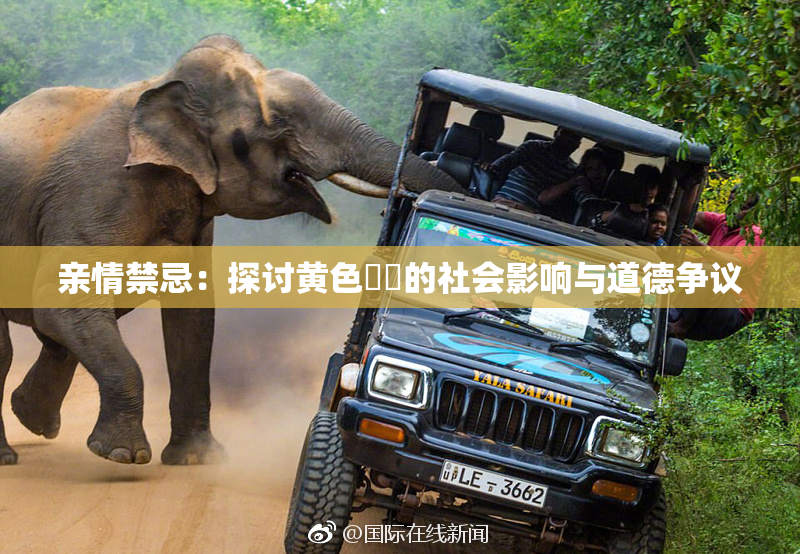 亲情禁忌：探讨黄色亂倫的社会影响与道德争议