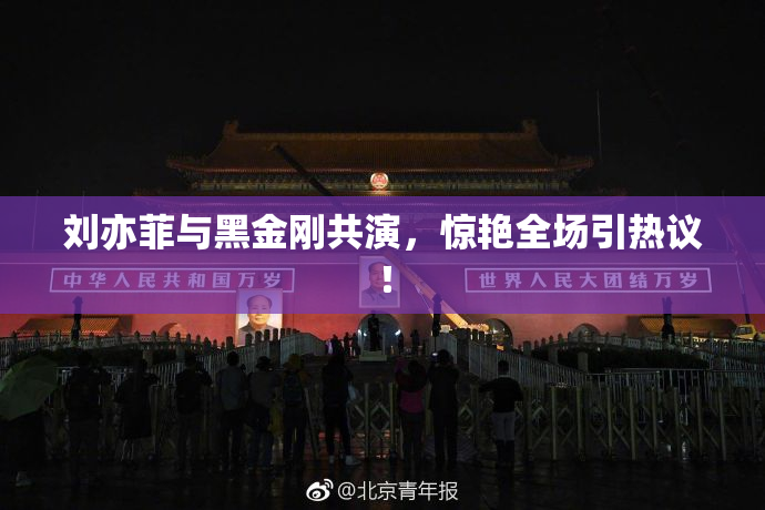 刘亦菲与黑金刚共演，惊艳全场引热议！