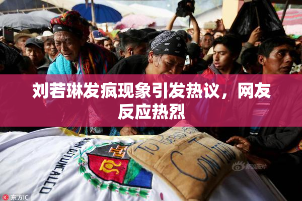 刘若琳发疯现象引发热议，网友反应热烈