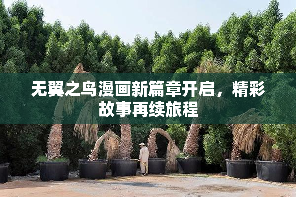 无翼之鸟漫画新篇章开启，精彩故事再续旅程