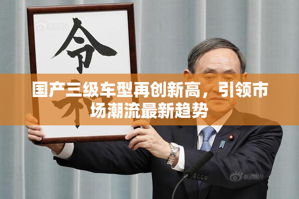 国产三级车型再创新高，引领市场潮流最新趋势