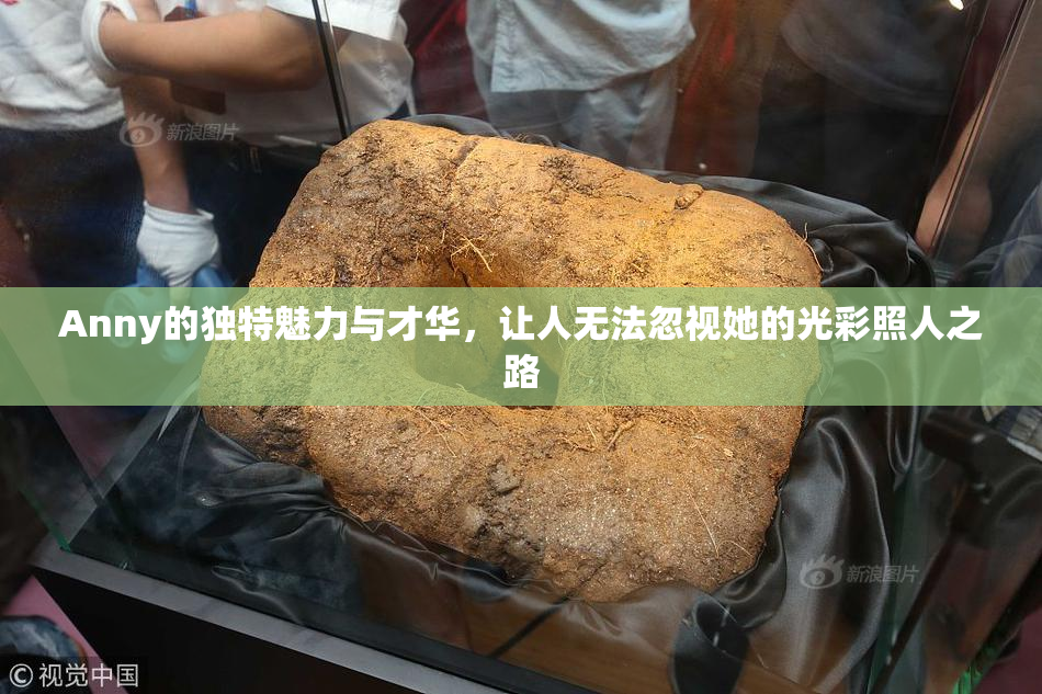 Anny的独特魅力与才华，让人无法忽视她的光彩照人之路