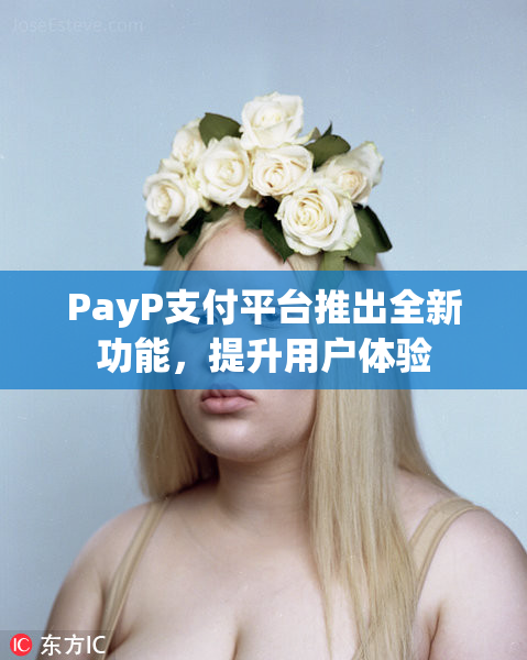 PayP支付平台推出全新功能，提升用户体验