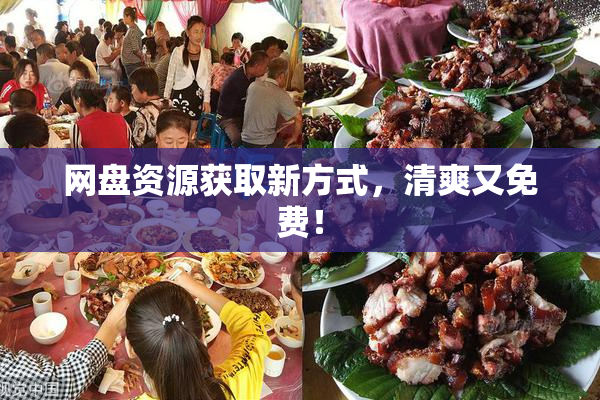 网盘资源获取新方式，清爽又免费！