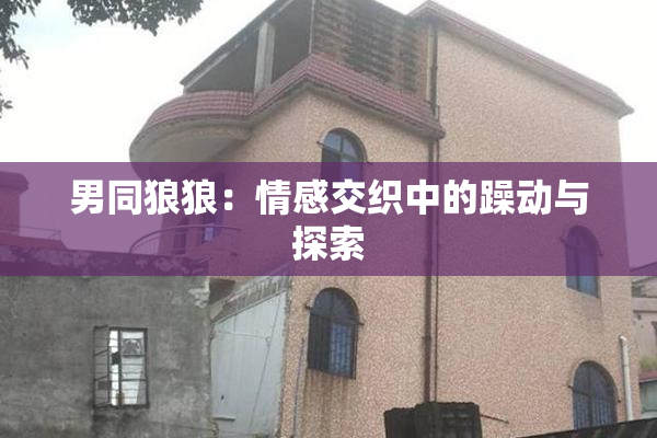 男同狼狼：情感交织中的躁动与探索