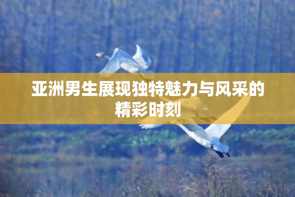 亚洲男生展现独特魅力与风采的精彩时刻