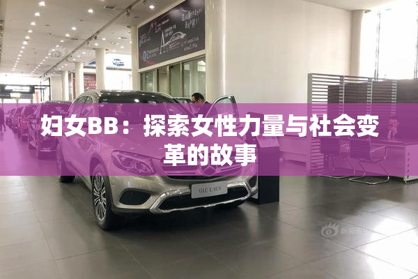 妇女BB：探索女性力量与社会变革的故事