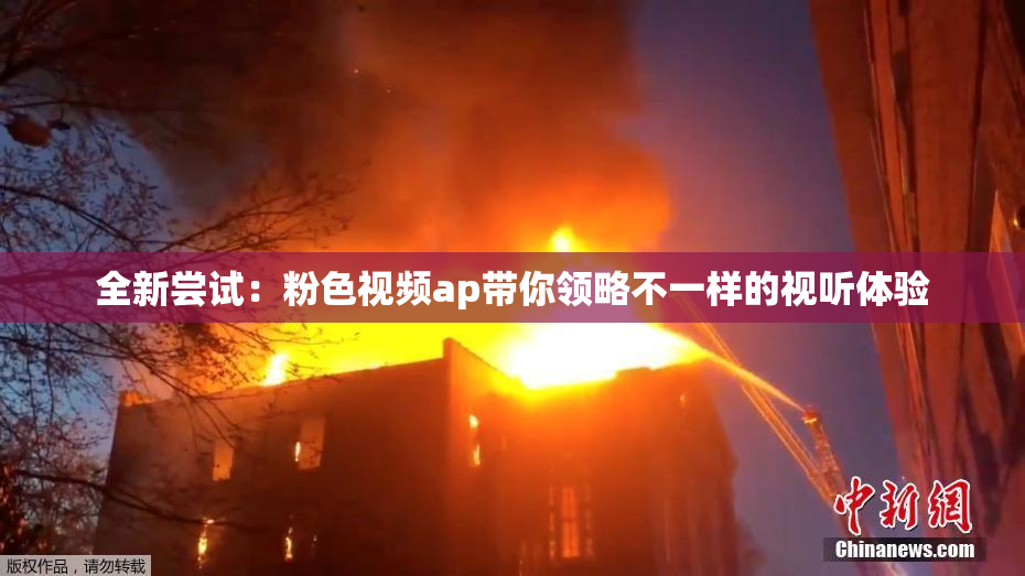 全新尝试：粉色视频ap带你领略不一样的视听体验