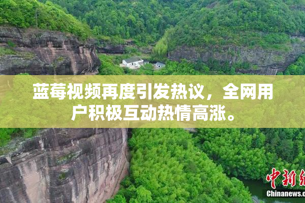 蓝莓视频再度引发热议，全网用户积极互动热情高涨。