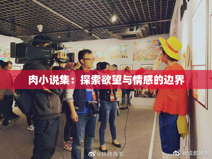 肉小说集：探索欲望与情感的边界