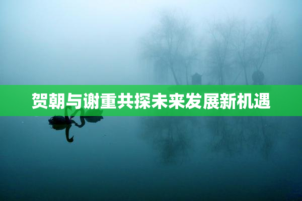 贺朝与谢重共探未来发展新机遇