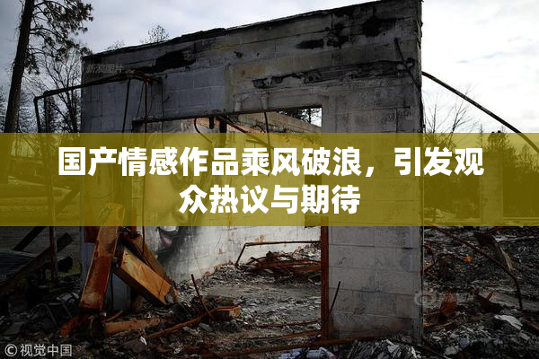 国产情感作品乘风破浪，引发观众热议与期待