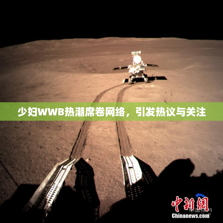 少妇WWB热潮席卷网络，引发热议与关注