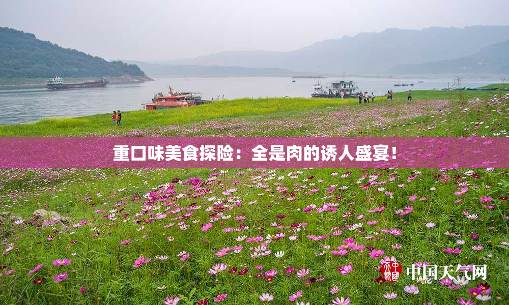 重口味美食探险：全是肉的诱人盛宴！