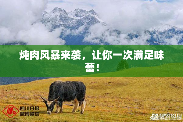 炖肉风暴来袭，让你一次满足味蕾！