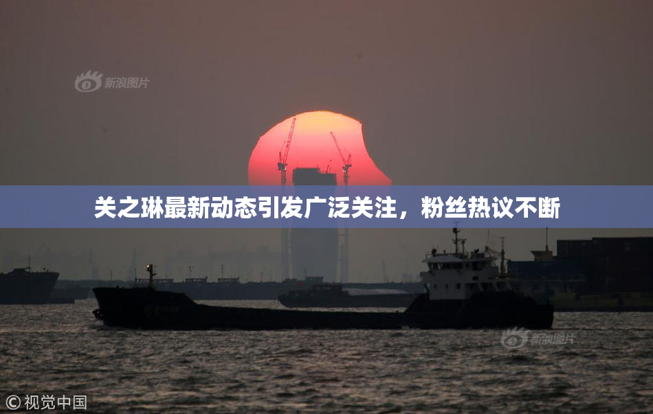 关之琳最新动态引发广泛关注，粉丝热议不断