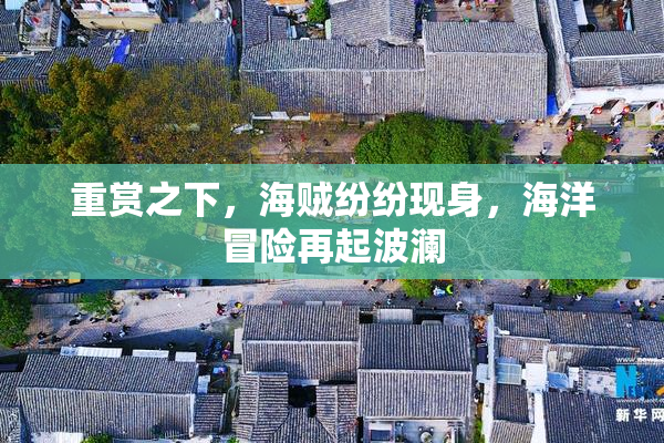 重赏之下，海贼纷纷现身，海洋冒险再起波澜