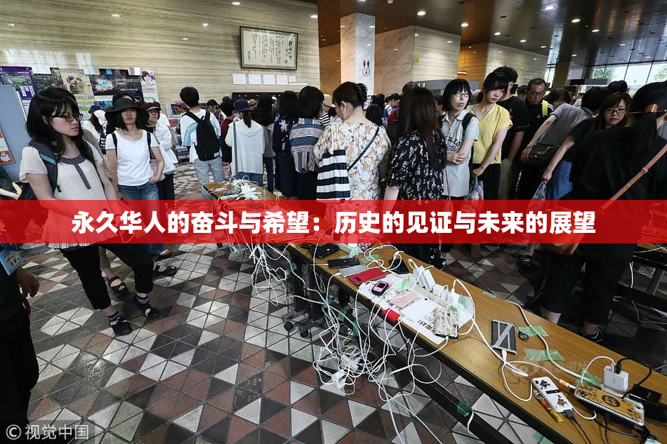 永久华人的奋斗与希望：历史的见证与未来的展望