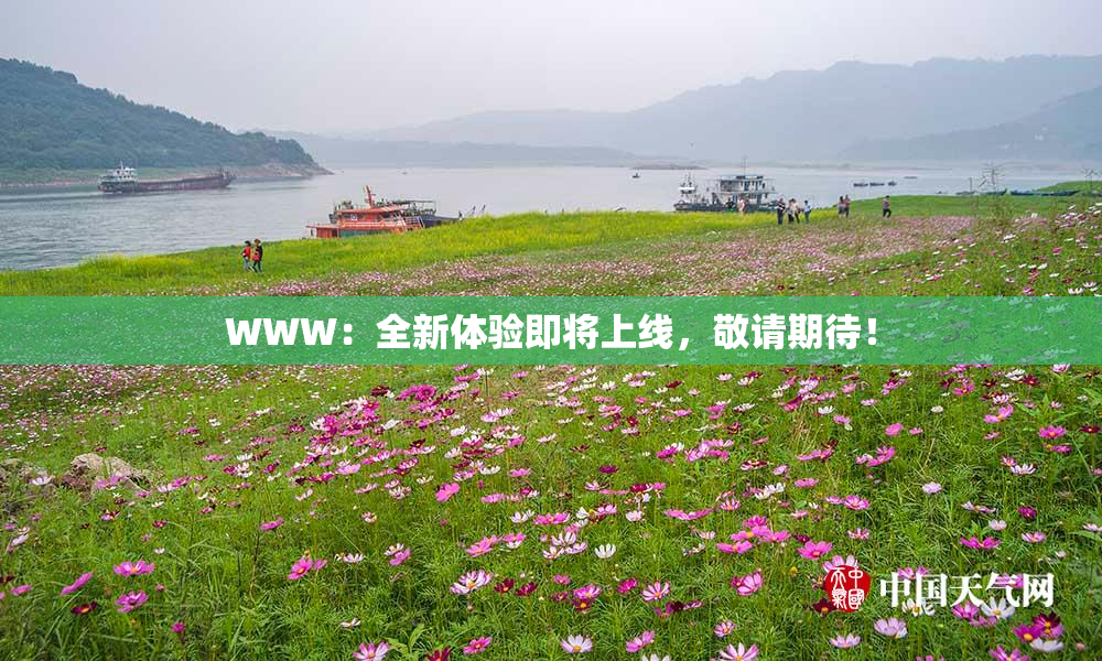 WWW：全新体验即将上线，敬请期待！