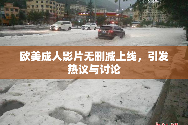 欧美成人影片无删减上线，引发热议与讨论