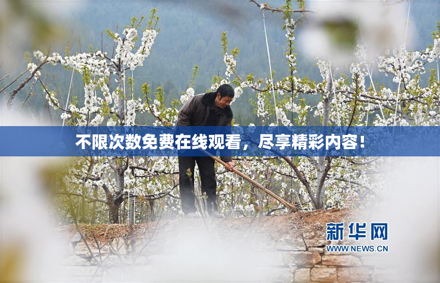 不限次数免费在线观看，尽享精彩内容！