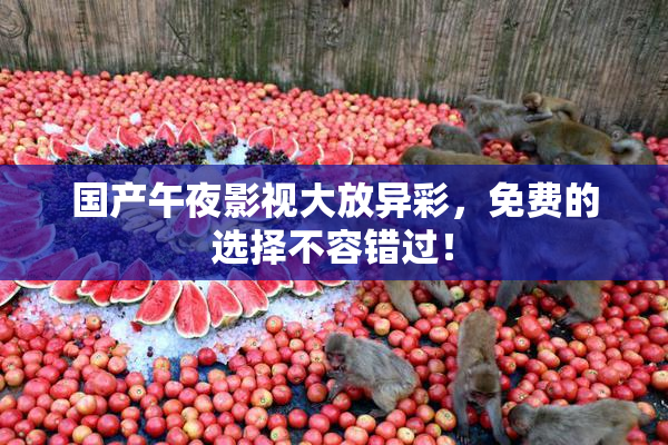 国产午夜影视大放异彩，免费的选择不容错过！