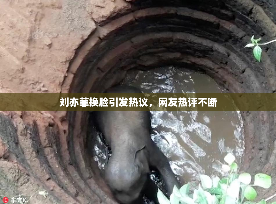 刘亦菲换脸引发热议，网友热评不断