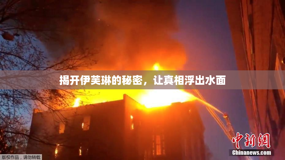 揭开伊芙琳的秘密，让真相浮出水面