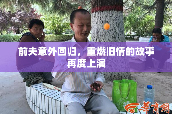 前夫意外回归，重燃旧情的故事再度上演