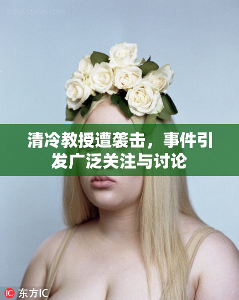 清冷教授遭袭击，事件引发广泛关注与讨论
