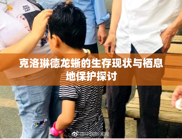 克洛琳德龙蜥的生存现状与栖息地保护探讨