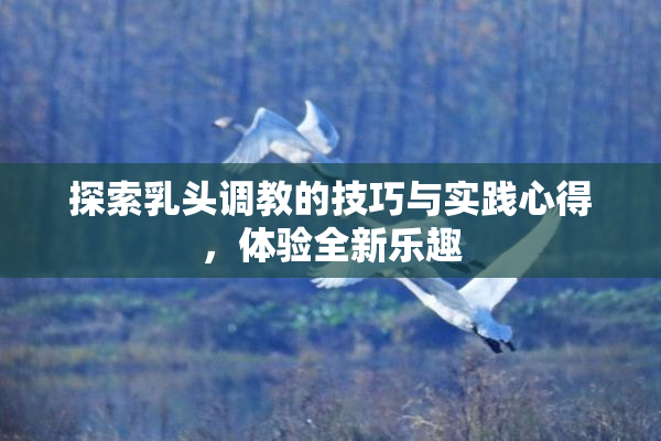 探索乳头调教的技巧与实践心得，体验全新乐趣