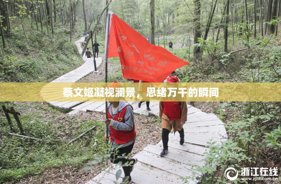 蔡文姬凝视澜景，思绪万千的瞬间