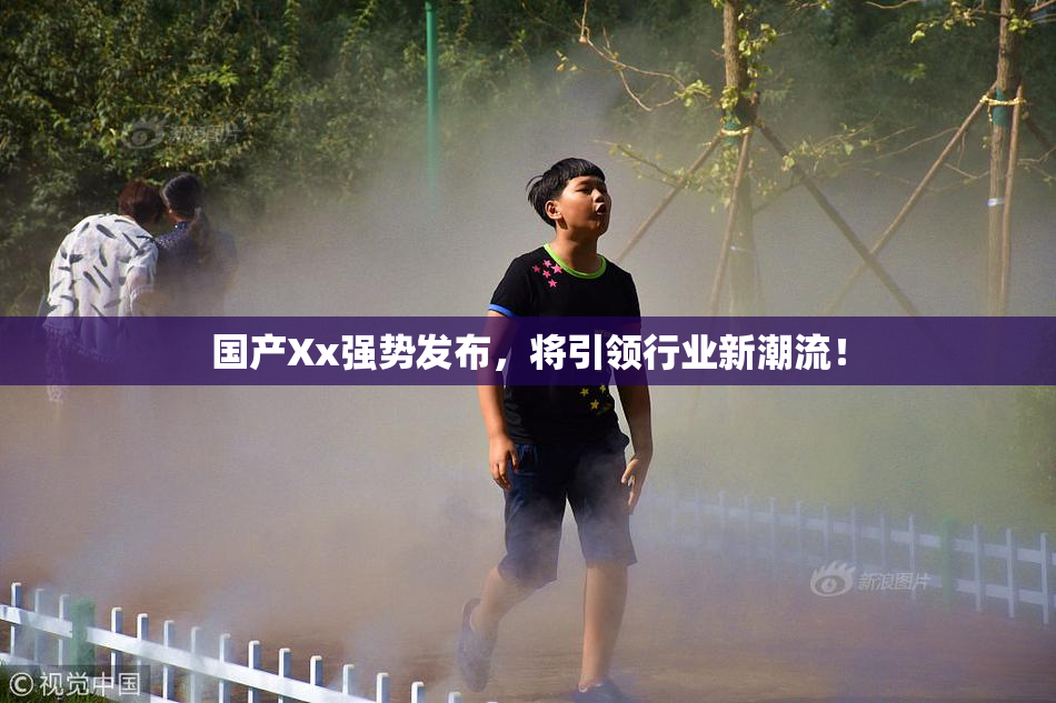 国产Xx强势发布，将引领行业新潮流！