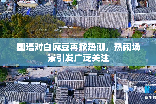 国语对白麻豆再掀热潮，热闹场景引发广泛关注