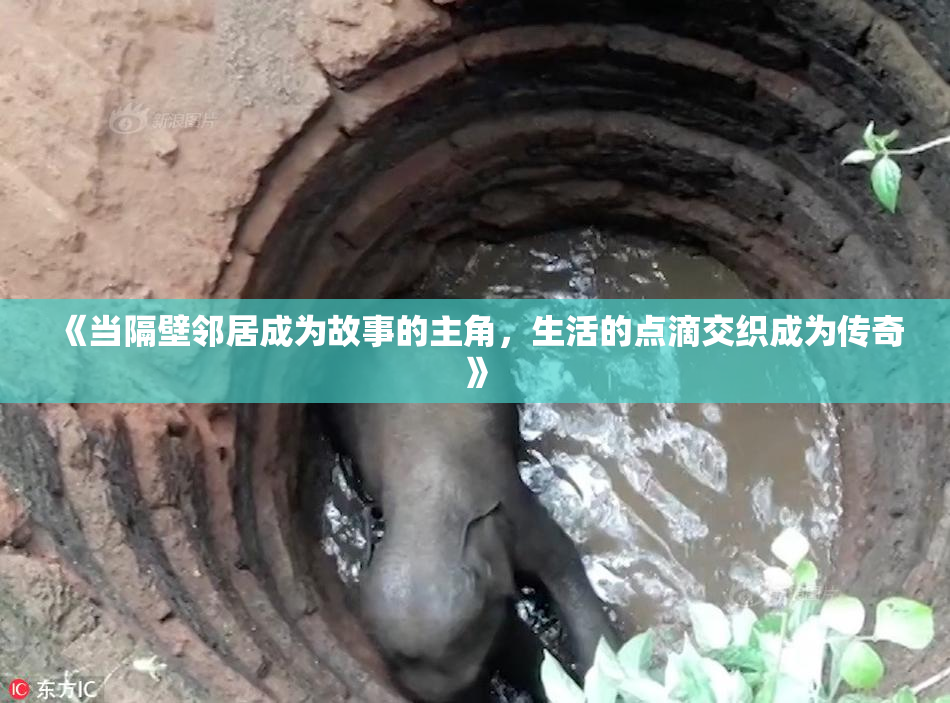 《当隔壁邻居成为故事的主角，生活的点滴交织成为传奇》