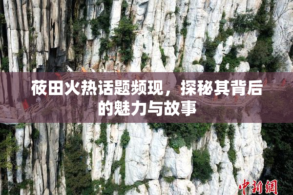 莜田火热话题频现，探秘其背后的魅力与故事