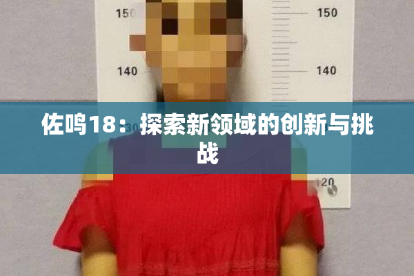 佐鸣18：探索新领域的创新与挑战