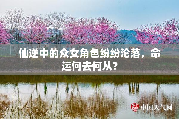 仙逆中的众女角色纷纷沦落，命运何去何从？