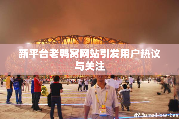 新平台老鸭窝网站引发用户热议与关注